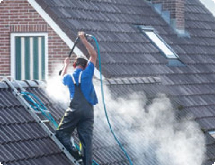 Roof & Gutters