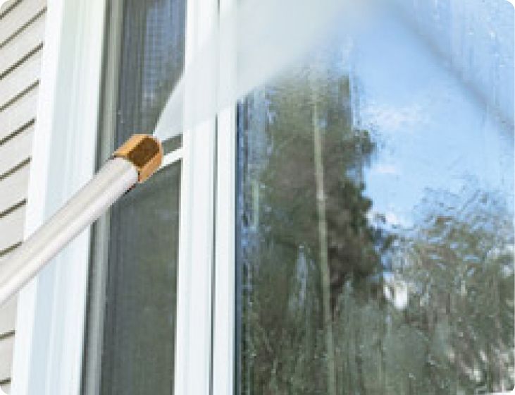Windows & Siding